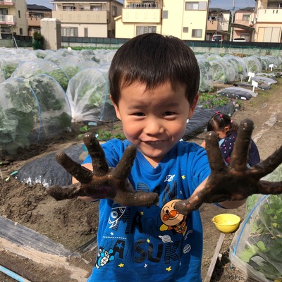 芸術祭 シェア畑コンテスト 22 投票 農業体験なら貸し農園 市民農園 のシェア畑