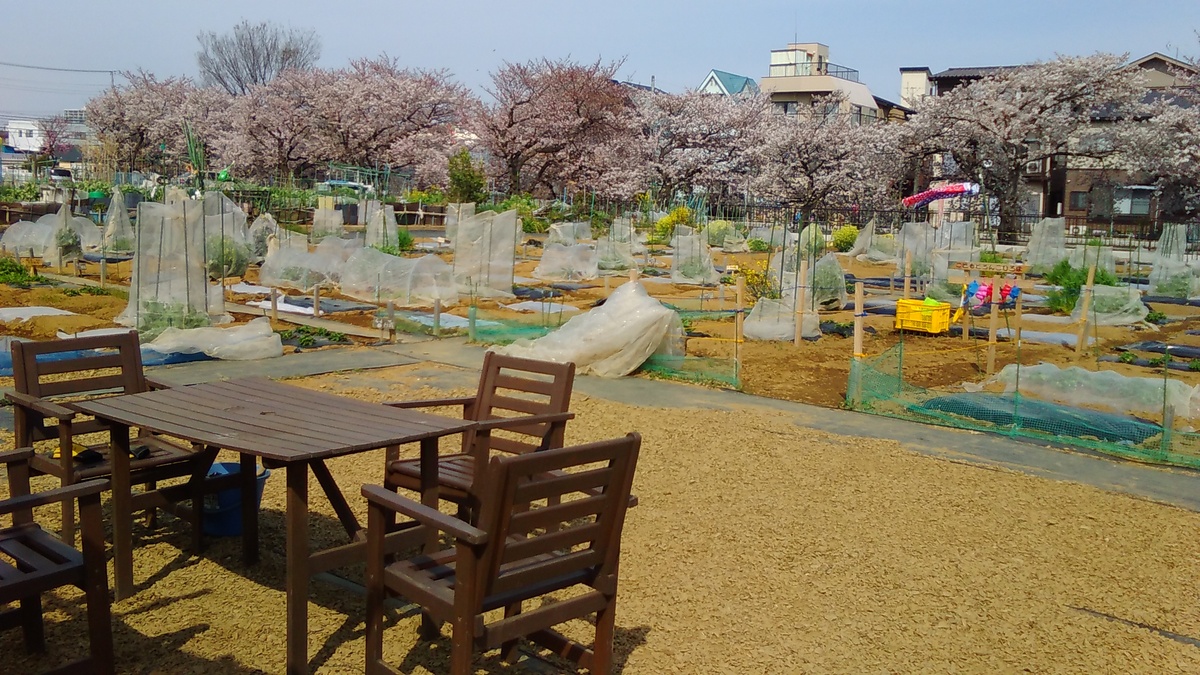 【春の新規オープン第4弾！】横浜市鶴見区・立川市に新農園誕生！