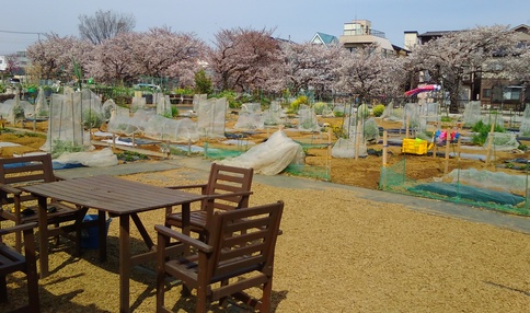 【春の新規オープン第4弾！】横浜市鶴見区・立川市に新農園誕生！