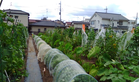 朝霞市の市民農園・貸し農園（体験農園）一覧 | 全国の市民農園・貸し農園（体験農園）検索サイト「農園ナビ」