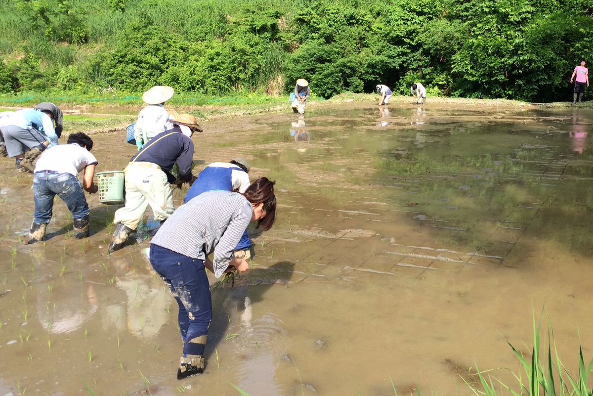 【満員御礼】田植えイベントのお知らせ