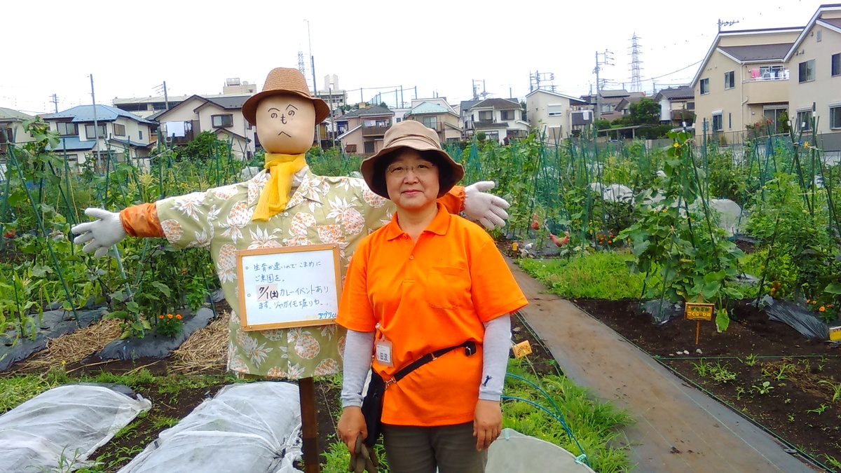 シェア畑 新横浜 横浜市 農業体験なら貸し農園 市民農園 のシェア畑