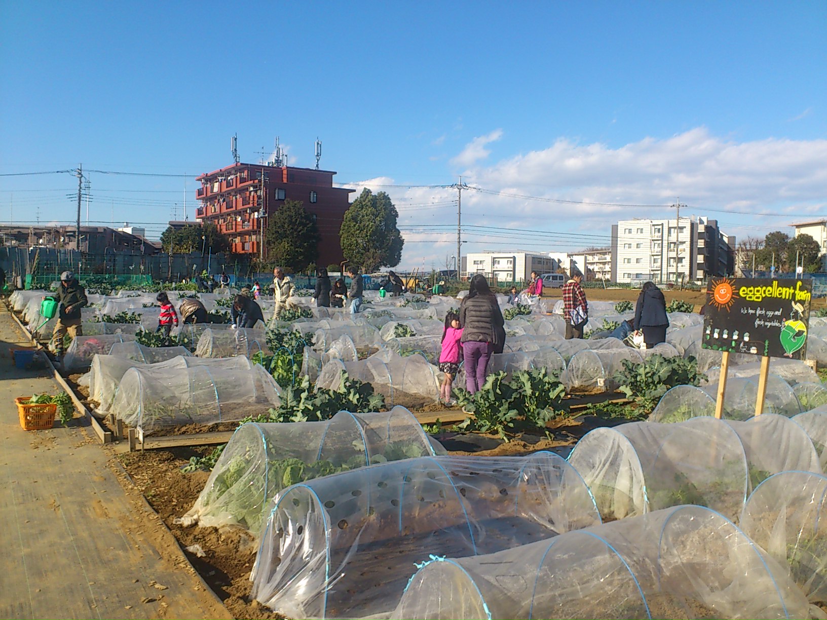 シェア畑 横浜高田