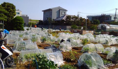 江戸川小岩ファーム