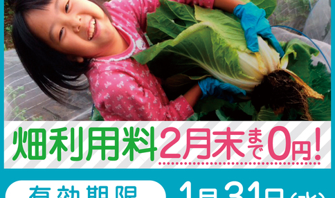 【急げ！今なら、畑利用料が2月末まで０円！】冬のフリーレントキャンペーン！