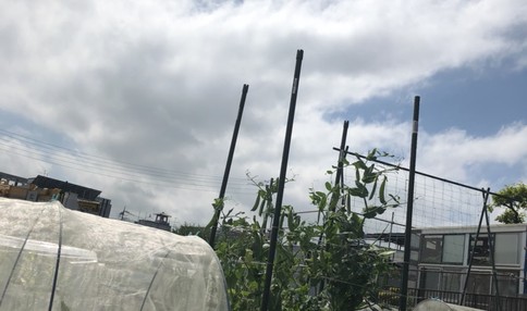 空の下、お野菜作りを楽しみませんか?