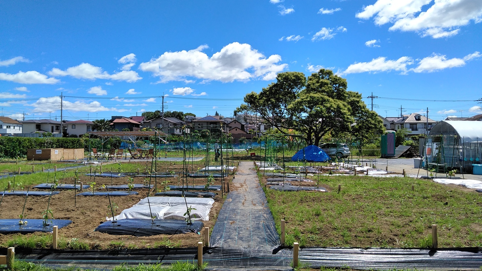 シェア畑 市川本八幡