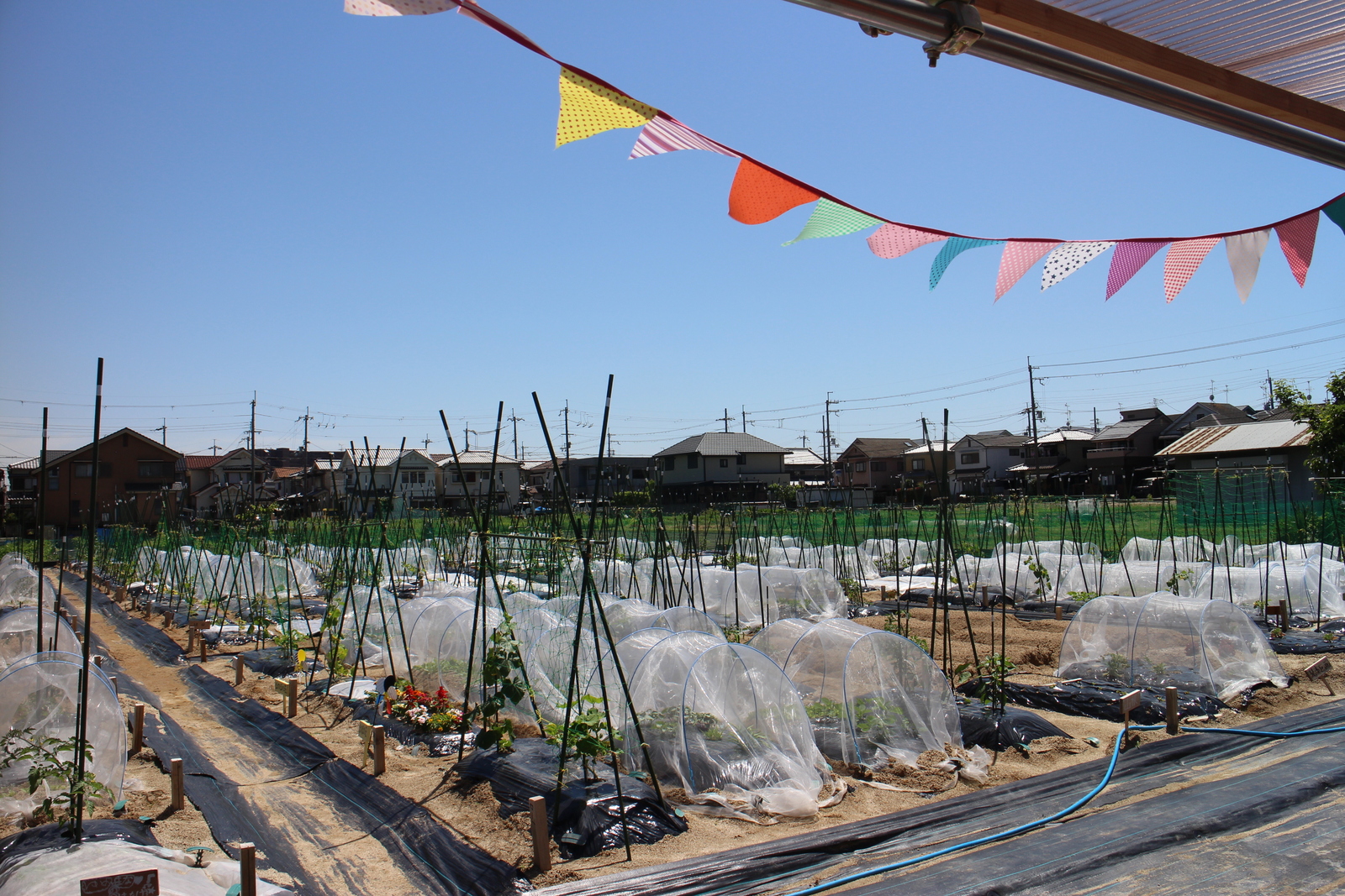 シェア畑 高槻郡家