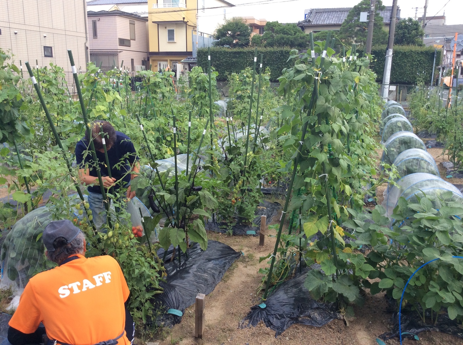 シェア畑 武庫川