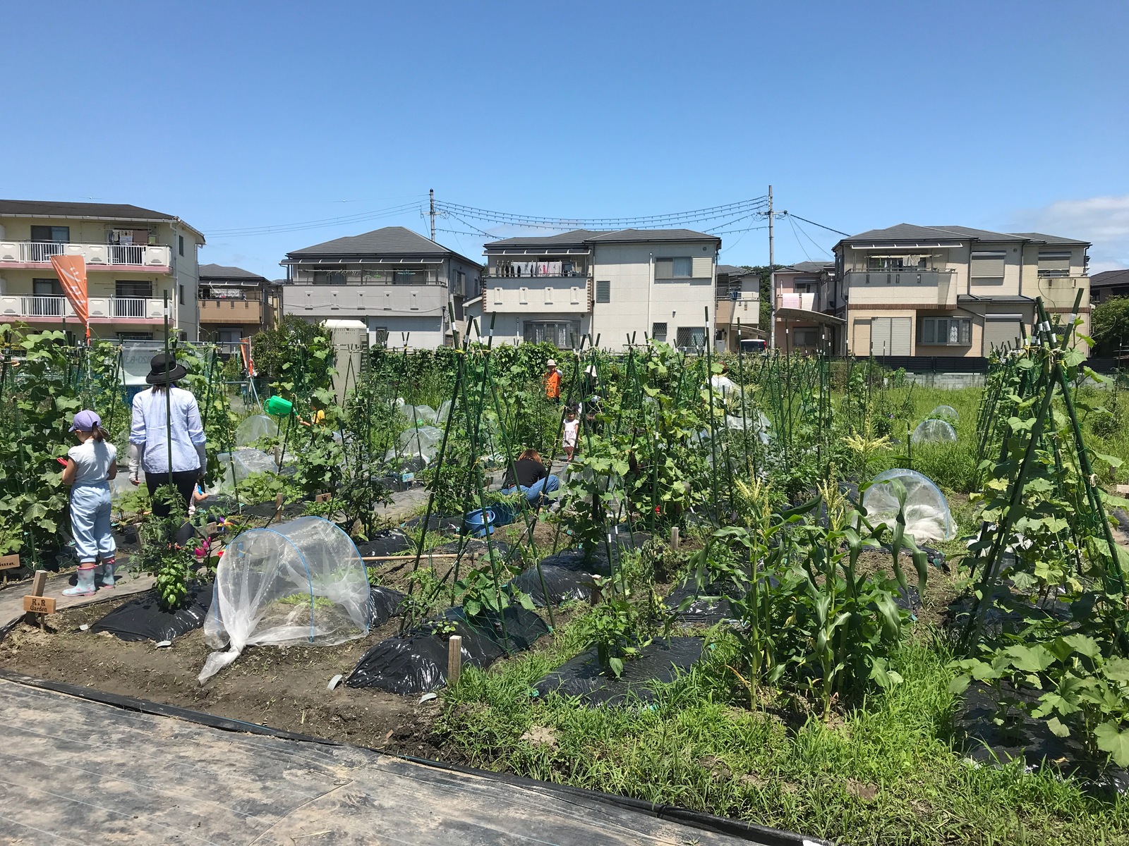 シェア畑 吹田岸部