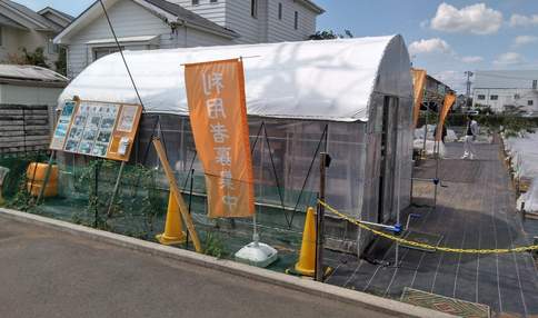 是非遊びに来てくださいね!
