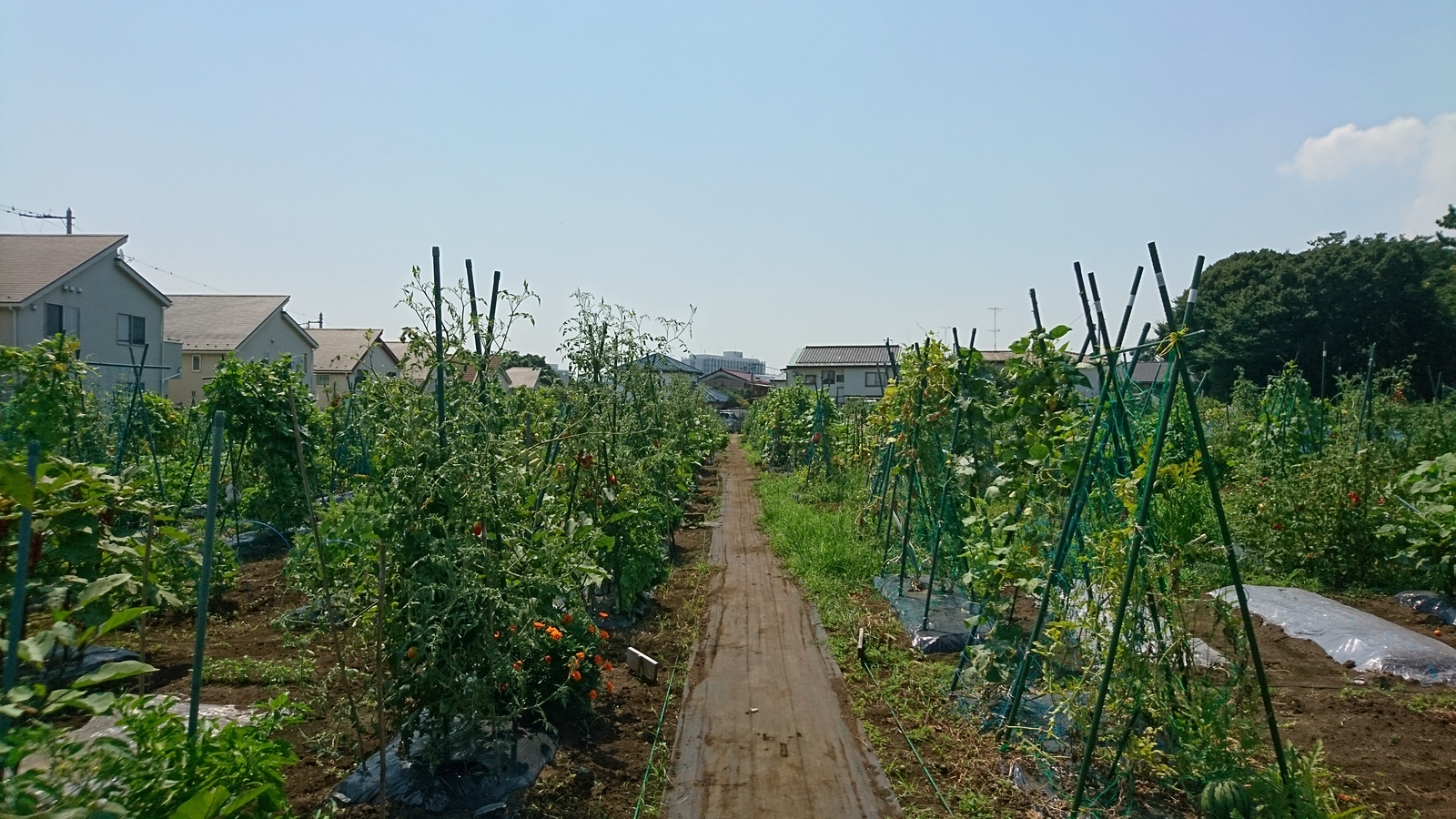 シェア畑 新横浜