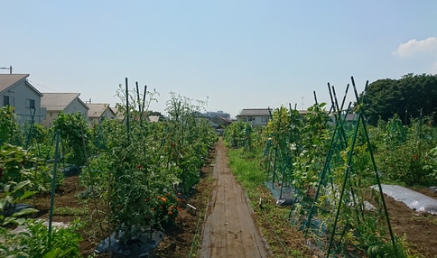 シェア畑 新横浜