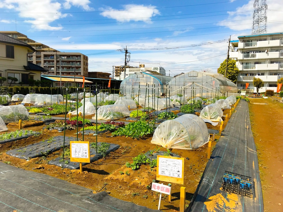 シェア畑 足立青井(足立区) | 体験農園なら貸し農園（市民農園）のシェア畑