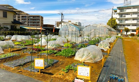 全国の体験農園・貸し農園一覧 | 体験農園なら貸し農園（市民農園）のシェア畑