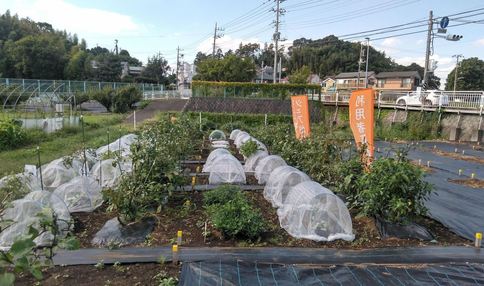 駅から近く通いやすい農園です