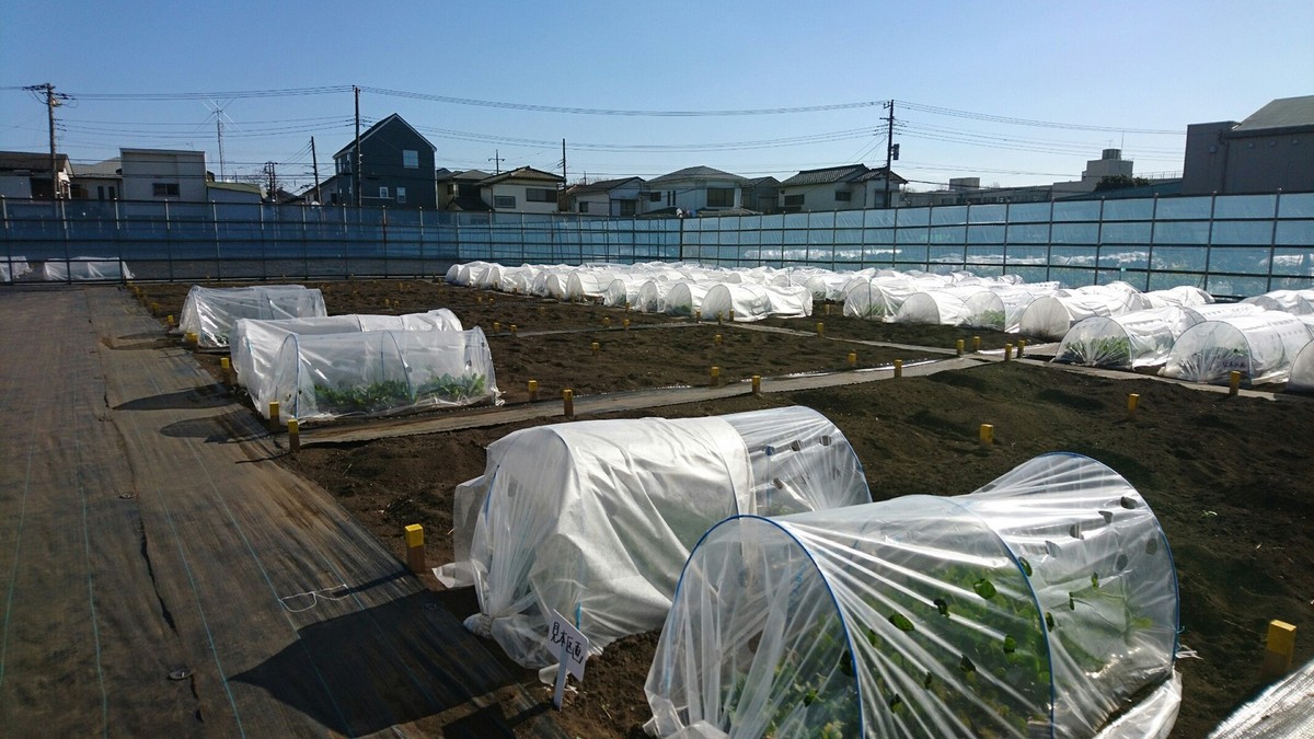 シェア畑 さがみ野