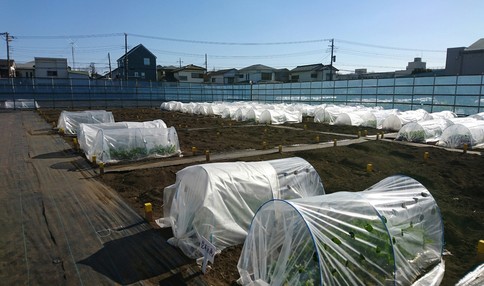シェア畑 さがみ野
