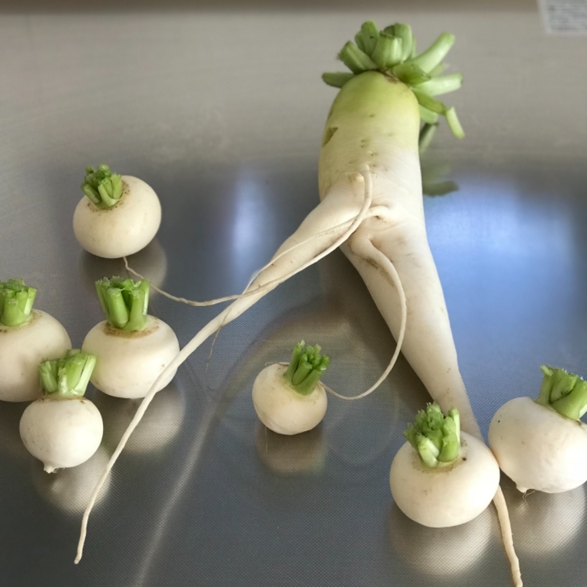 写真コンテスト2019冬_野菜部門