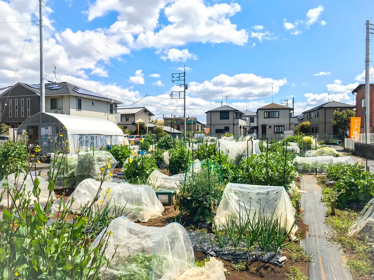 シェア畑 市川北方(市川市) | 体験農園なら貸し農園（市民農園）のシェア畑