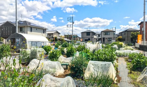 船橋市の市民農園・貸し農園（体験農園）一覧 | 全国の市民農園・貸し農園（体験農園）検索サイト「農園ナビ」