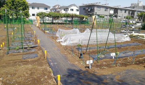 シェア畑 狛江
