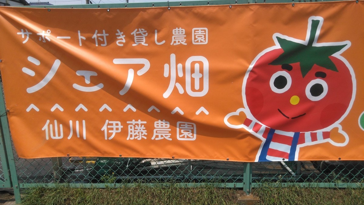 ようこそシェア畑仙川伊藤農園へ！