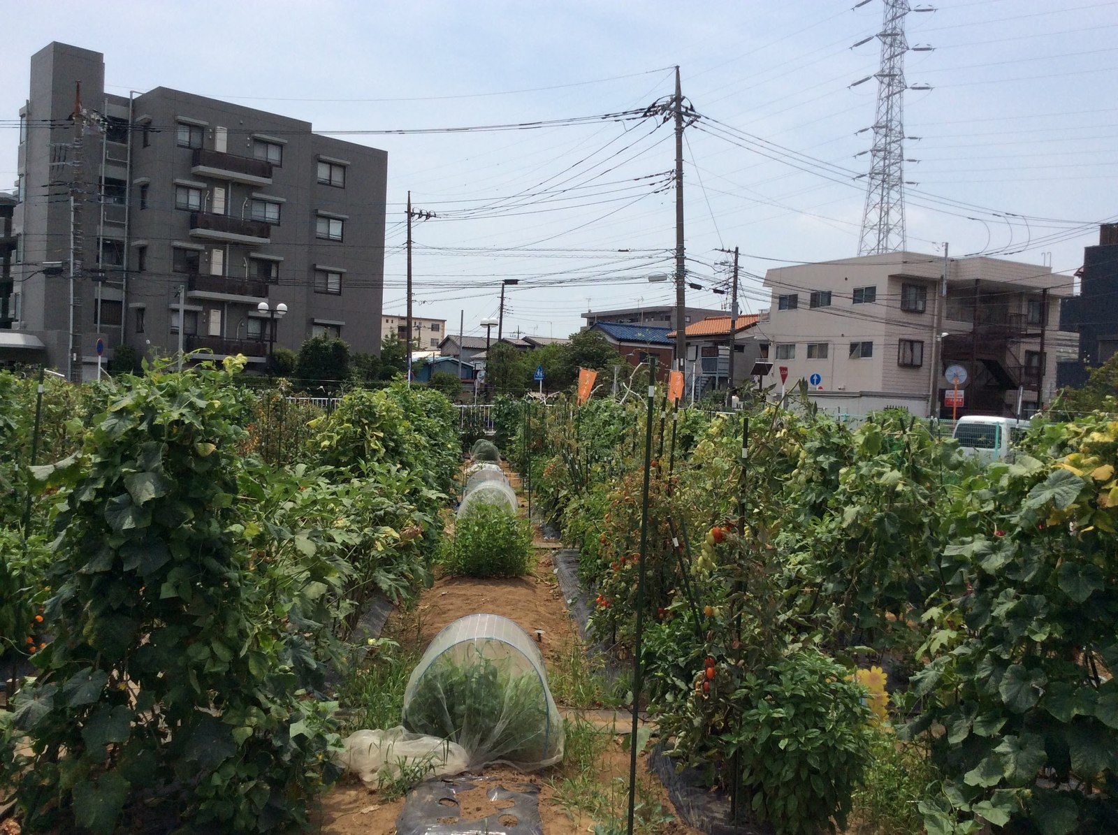 シェア畑 武蔵中原