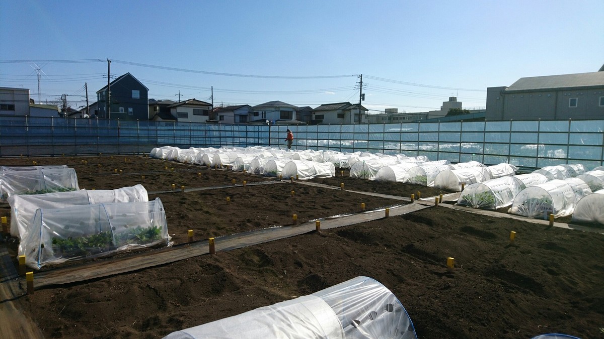 陽当たりのとても良い農園です
