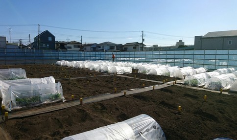 陽当たりのとても良い農園です