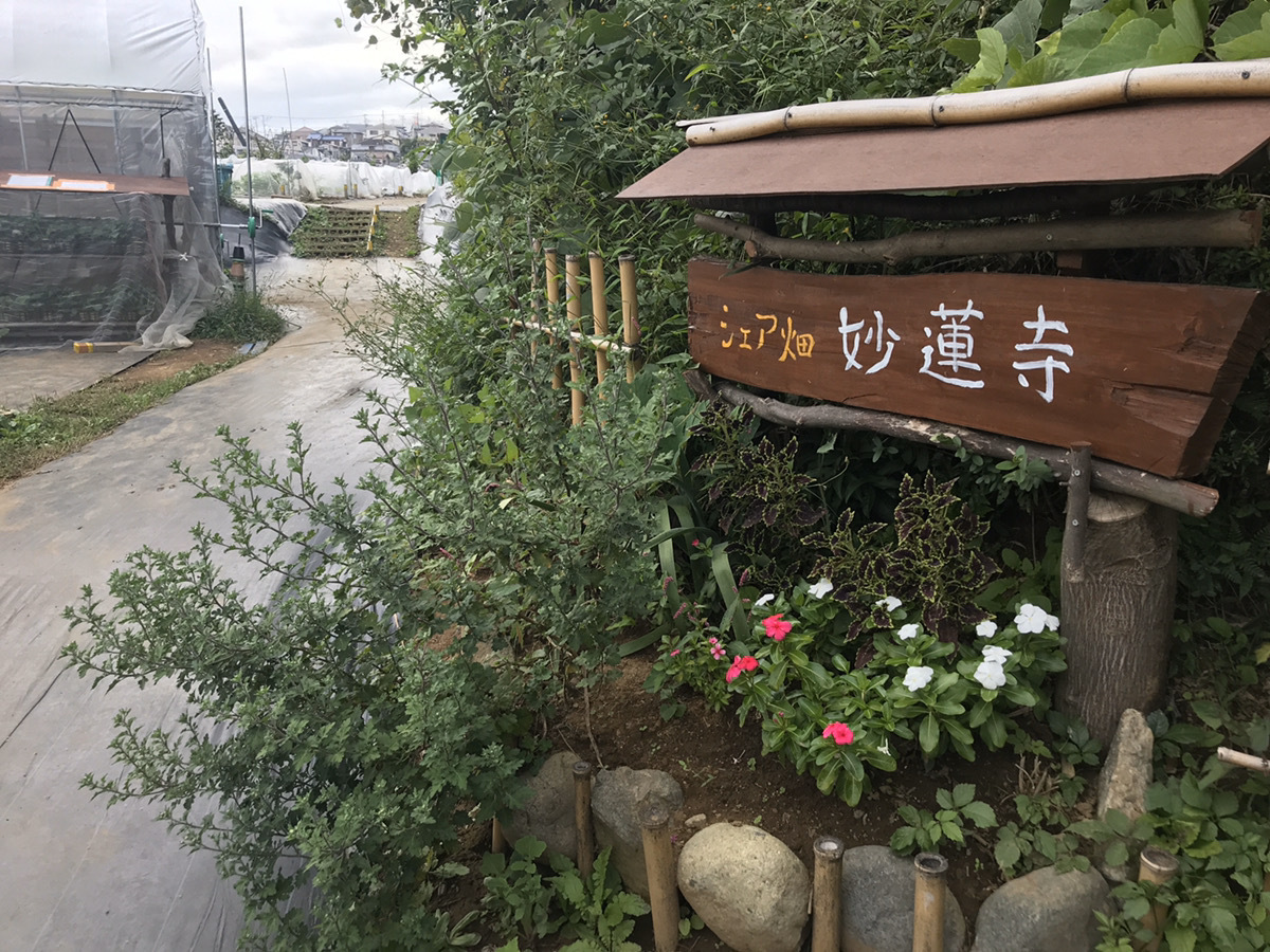 シェア畑 妙蓮寺