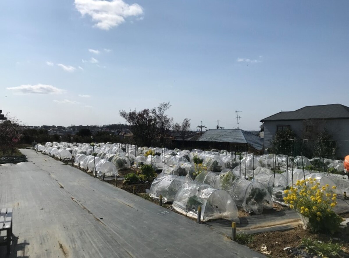 シェア畑 箕面桜ヶ丘