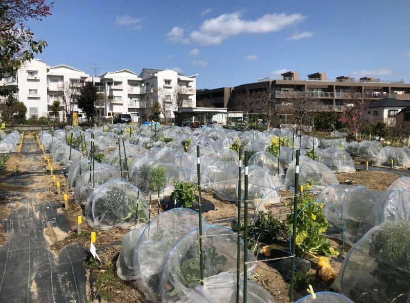シェア畑 箕面桜ヶ丘
