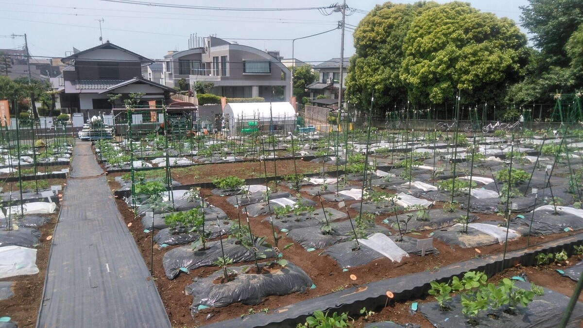 市民農園貸し農園捜したい