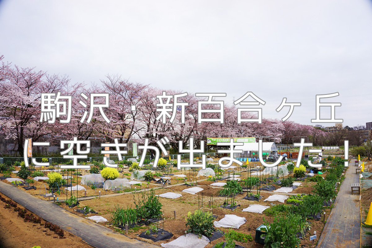 【お急ぎください】人気エリア、駒沢・新百合ヶ丘の農園に9月～利用可能な区画の空きが出ました！