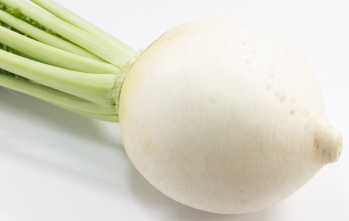 大根の栽培・育て方を徹底解説！連作障害や害虫対策について詳しく説明