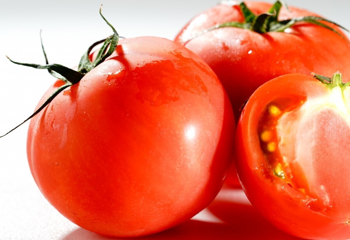 トマトの栽培・育て方を徹底解説！わき芽かき、摘心・摘果など失敗しないトマトの栽培方法ついて詳しく説明