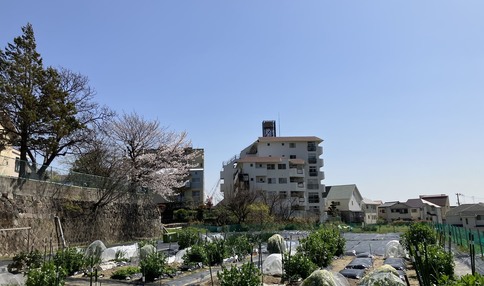 シェア畑 甲陽園