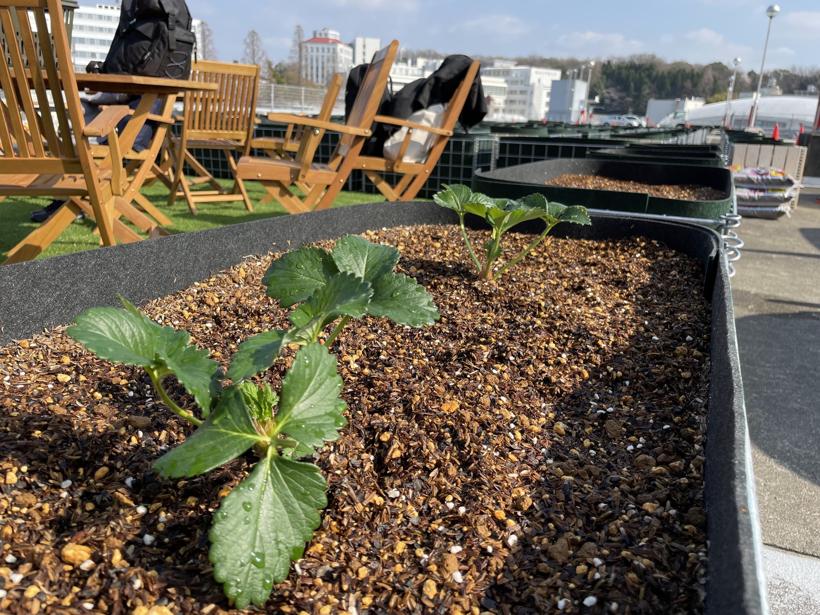 シェア畑garden 星が丘