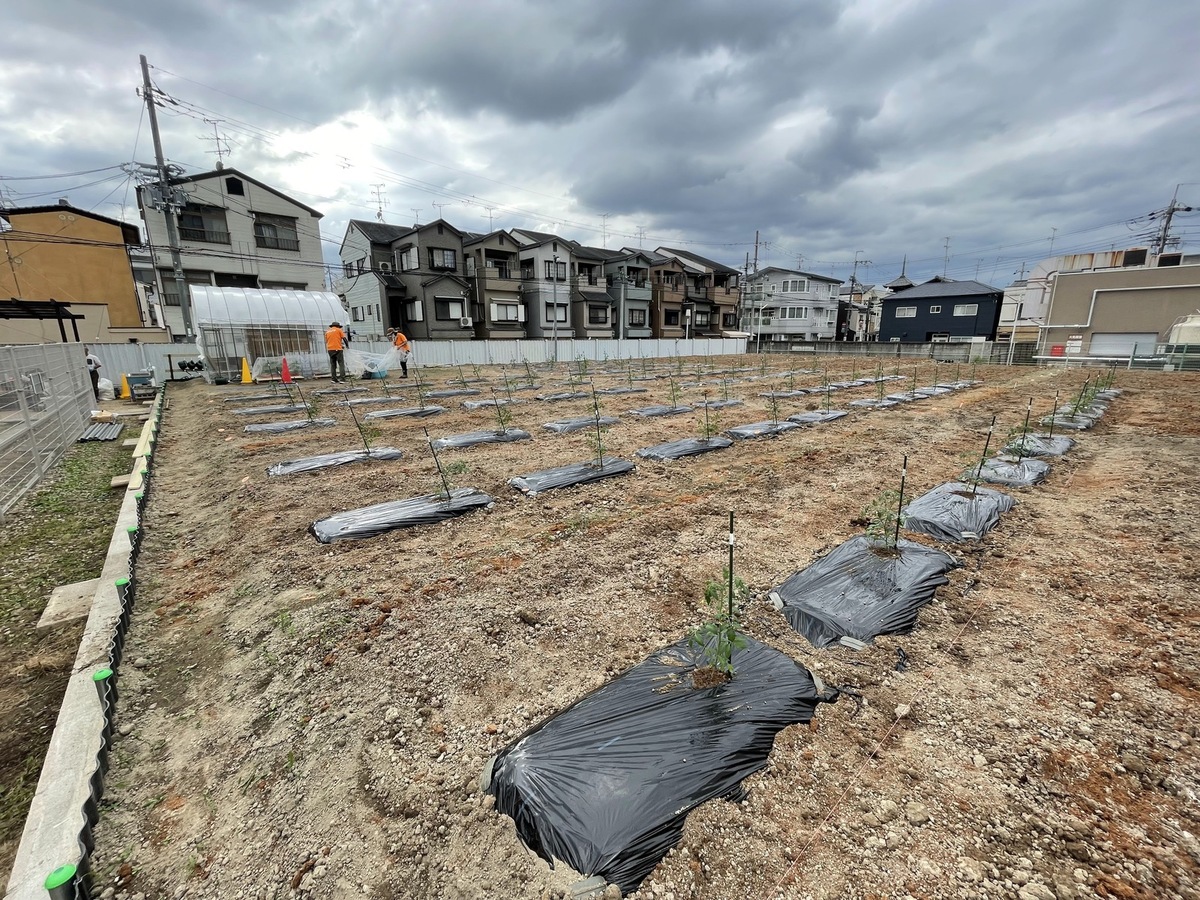 シェア畑 東寺(京都市) | 体験農園なら貸し農園(市民農園)のシェア畑