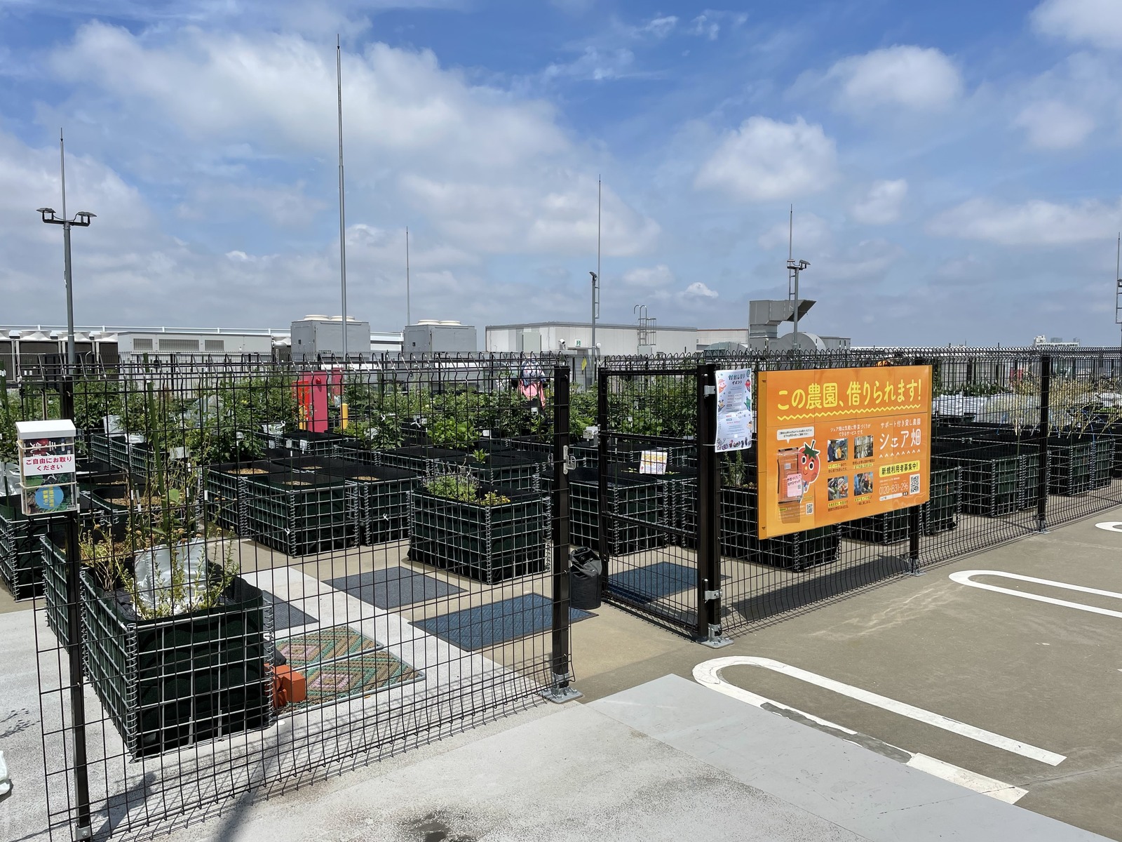 シェア畑garden マチノマ大森