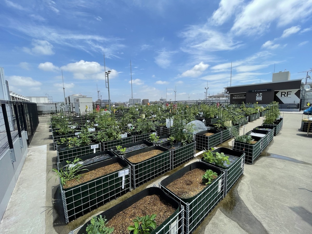 シェア畑garden マチノマ大森 (大田区) | 体験農園なら貸し農園（市民