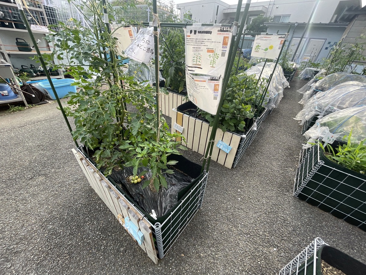 園生百席 116枚 f2686dc2fe2d4cadd998a820c0b181