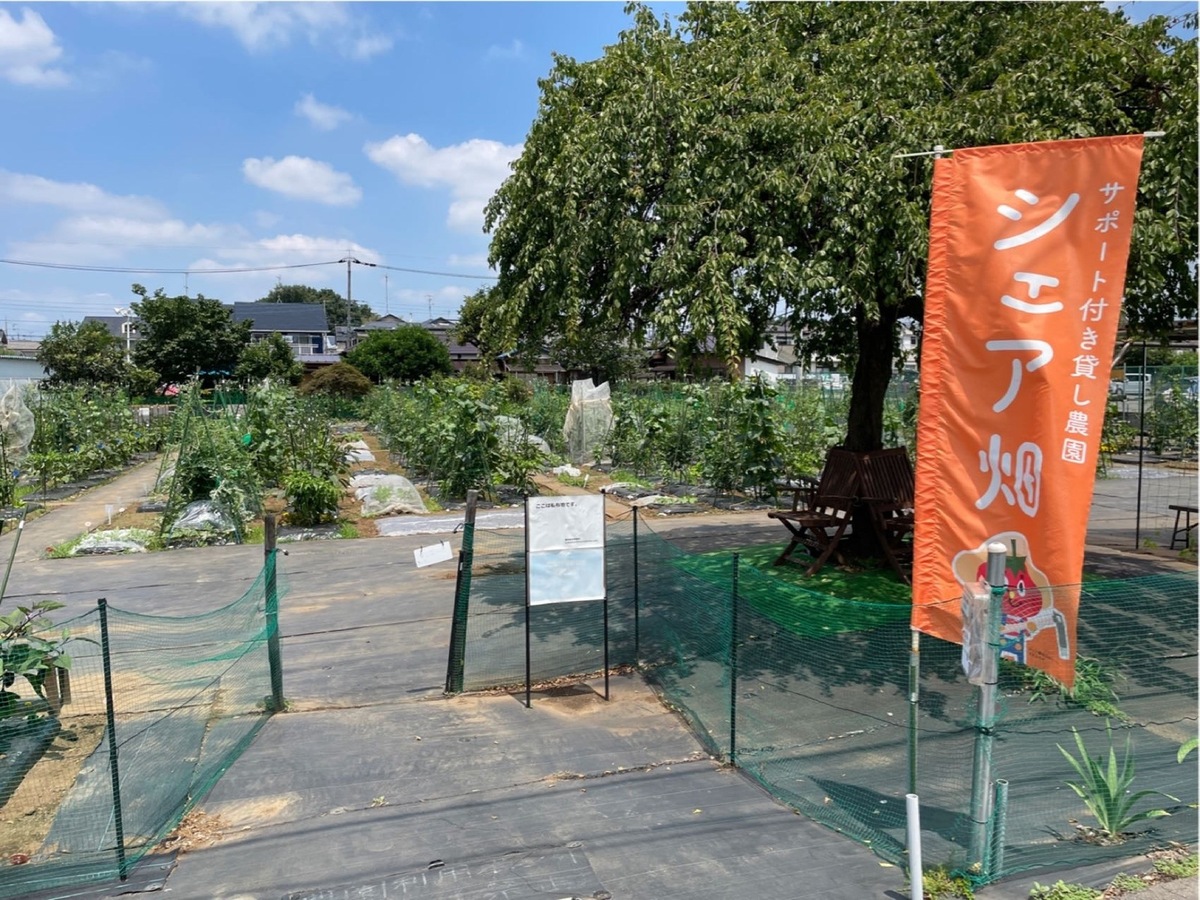 畑貸します。家庭菜園に 約100坪 - 栃木県のその他