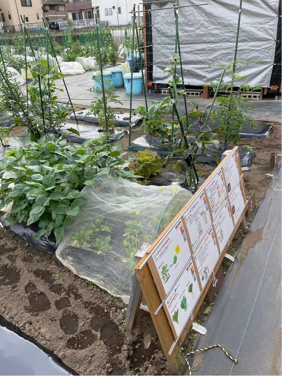 シェア畑 湘南辻堂(藤沢市) | 体験農園なら貸し農園（市民農園）のシェア畑