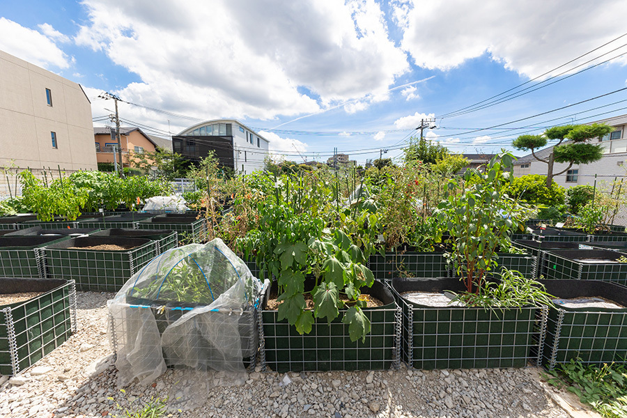 シェア畑garden 下北沢