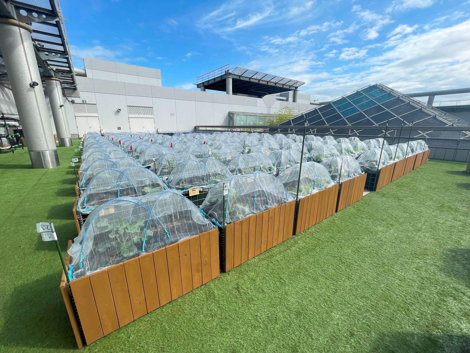 シェア畑 garden 立川高島屋S.C.店