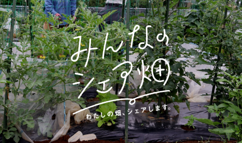 わたしの初めてのシェア畑利用体験記