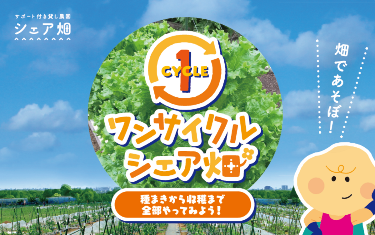 大田区大森で開催！ワンサイクルシェア畑（種まきから収穫まで3か月でやってみよう！）　　　参加募集中！