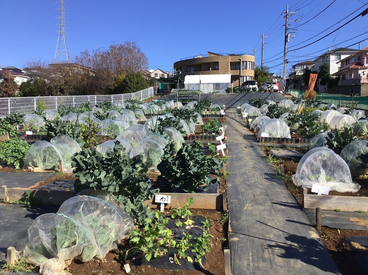 シェア畑 たまプラーザ(横浜市) | 体験農園なら貸し農園（市民農園）のシェア畑